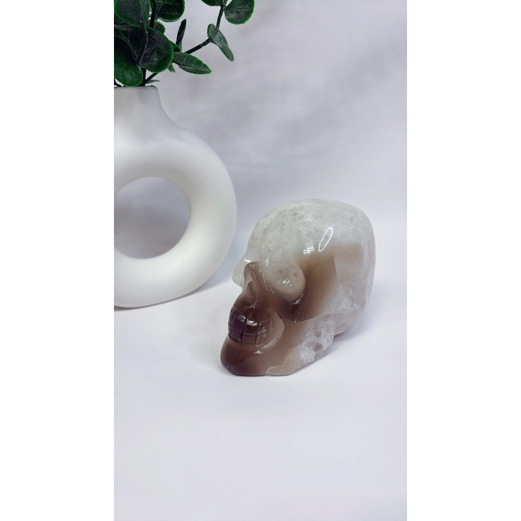 Achat Totenkopf mit Druzy