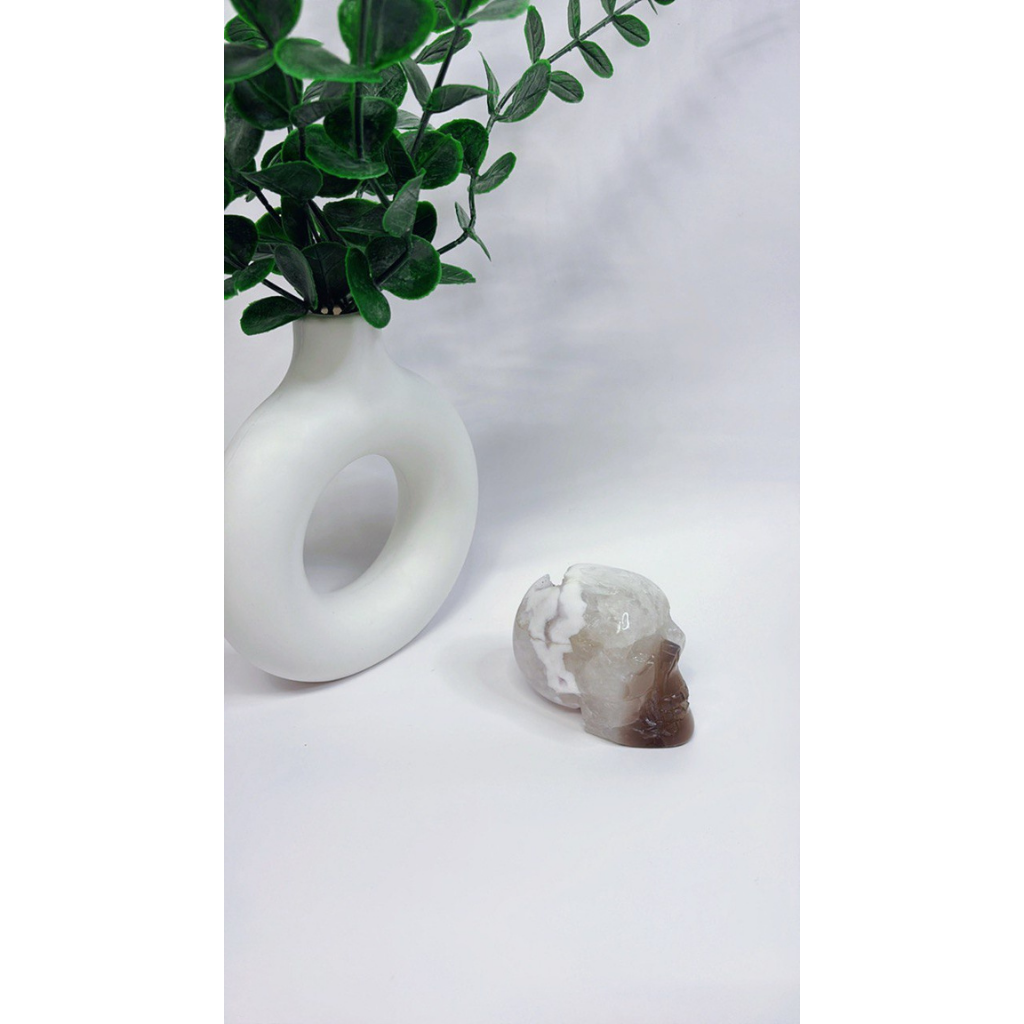 Achat Totenkopf mit Druzy