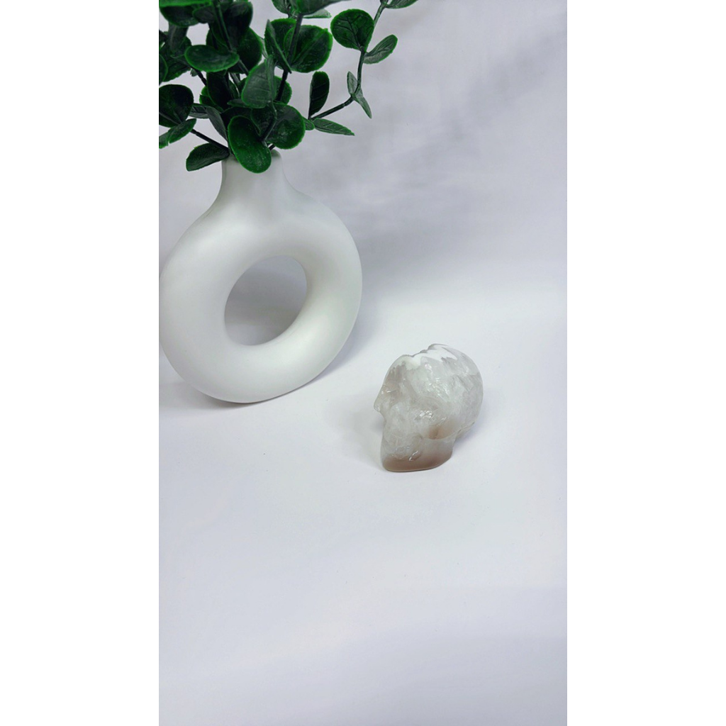 Achat Totenkopf mit Druzy