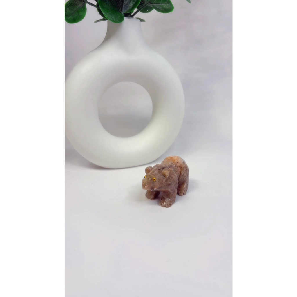Sonnenstein Bär