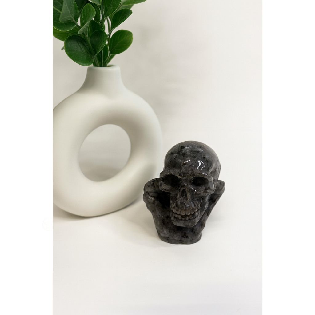 Labradorit Totenkopf in einer Kralle